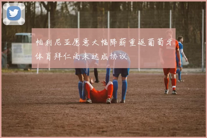 帕利尼亚愿意大幅降薪重返葡萄牙体育拜仁尚未达成协议